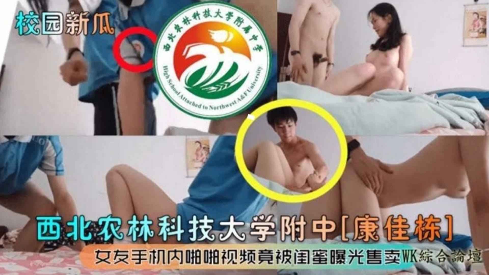 成人AV免费蜜桃站,曰批全过程免费视频观看软件潮