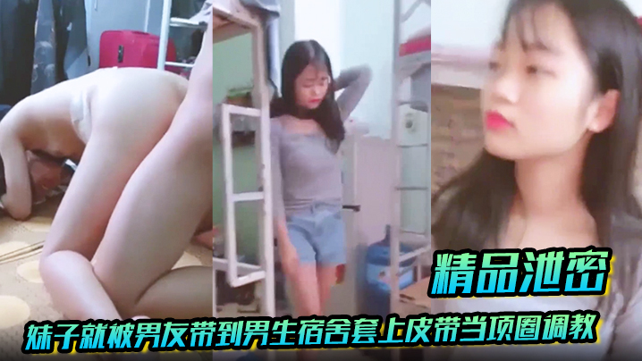 [Hammer Tanhua] 3000 peripheral goddesses, small internet celebrities, long-legged beauties